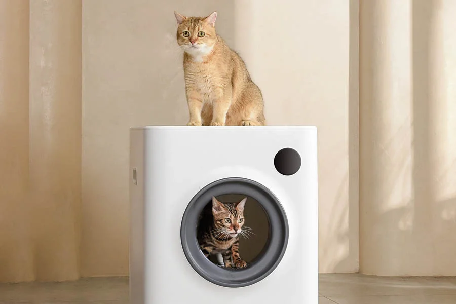 large litter box for multiple cats