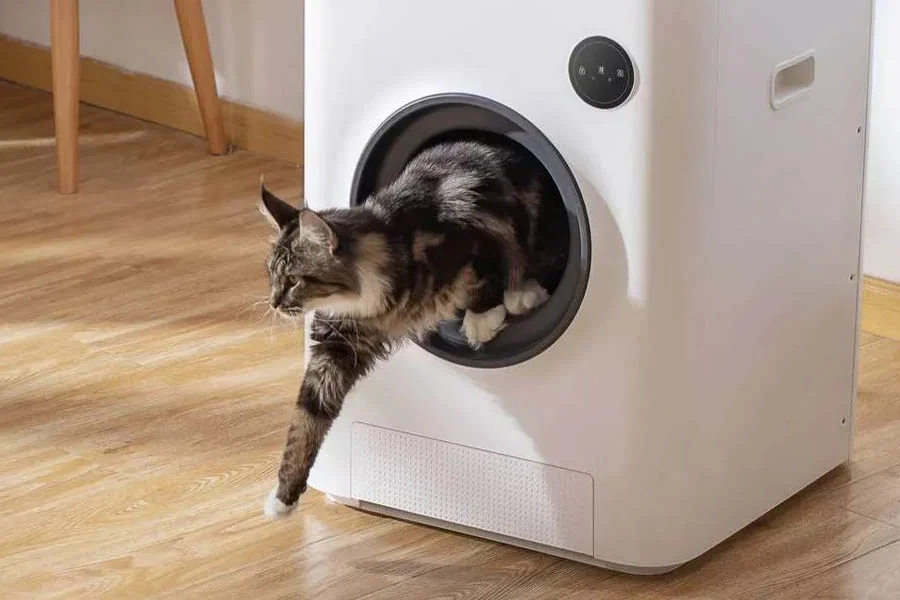 self-cleaning cat litter box