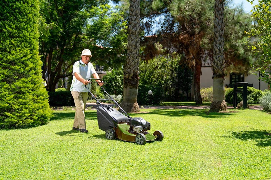 self-propelled push mower