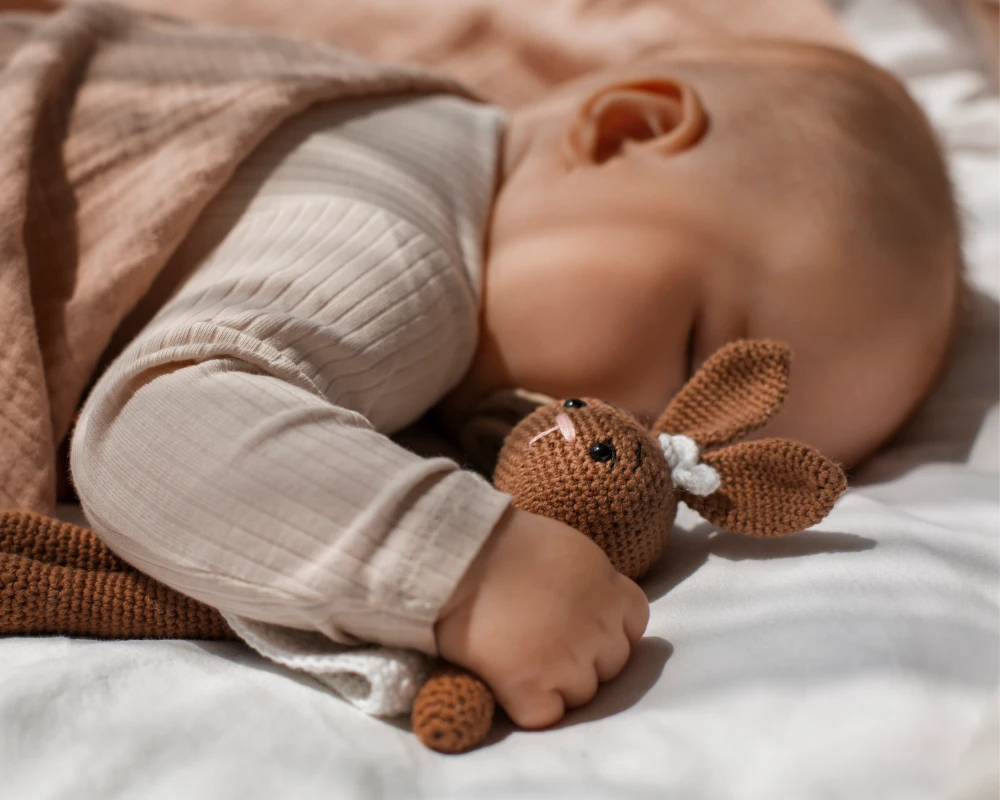 infant bouncer rocker