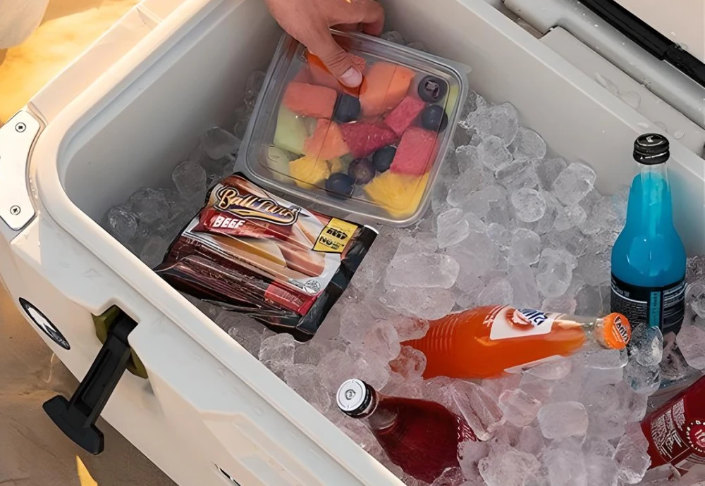 portable food cooler box