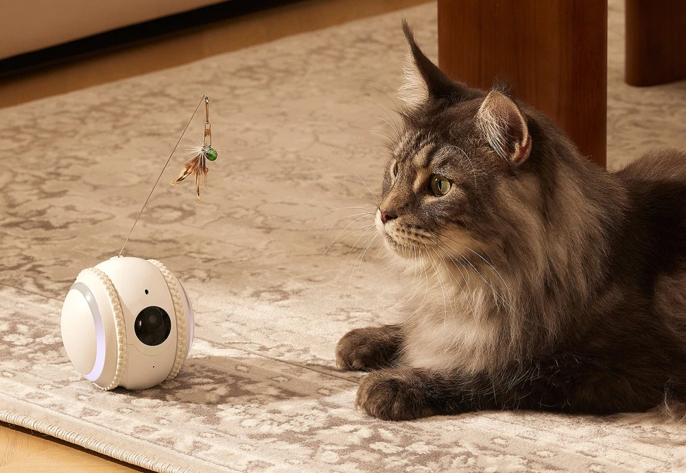 pet camera robot