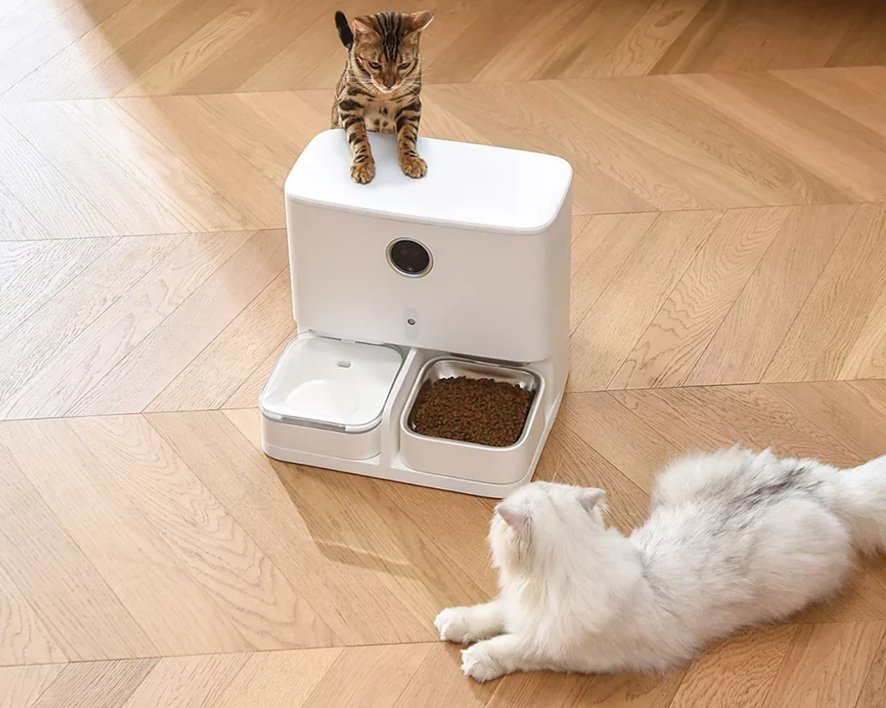 automatic dog bowl feeder